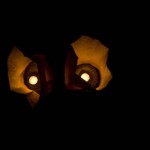 img_9392
