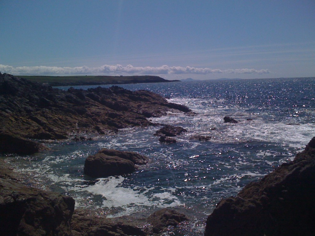 20100528_0161
