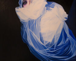 Cloud Cover Cloud Cover